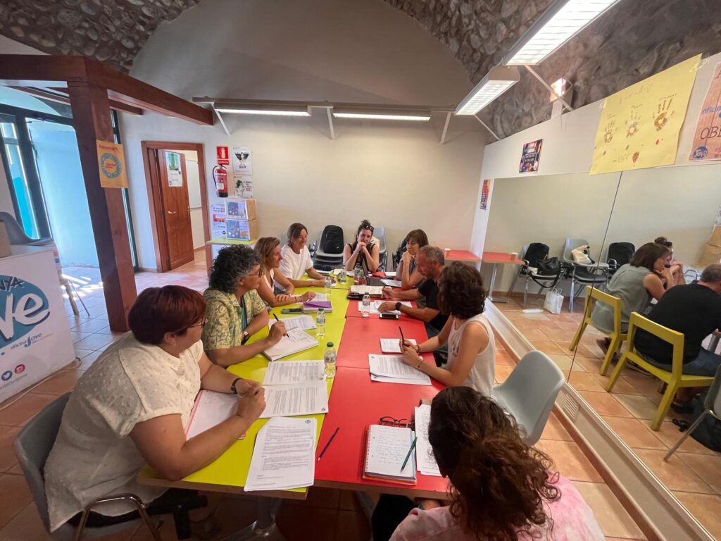 Consell Gestor Oficina Jove de la Cerdanya - reunió 30 de juliol